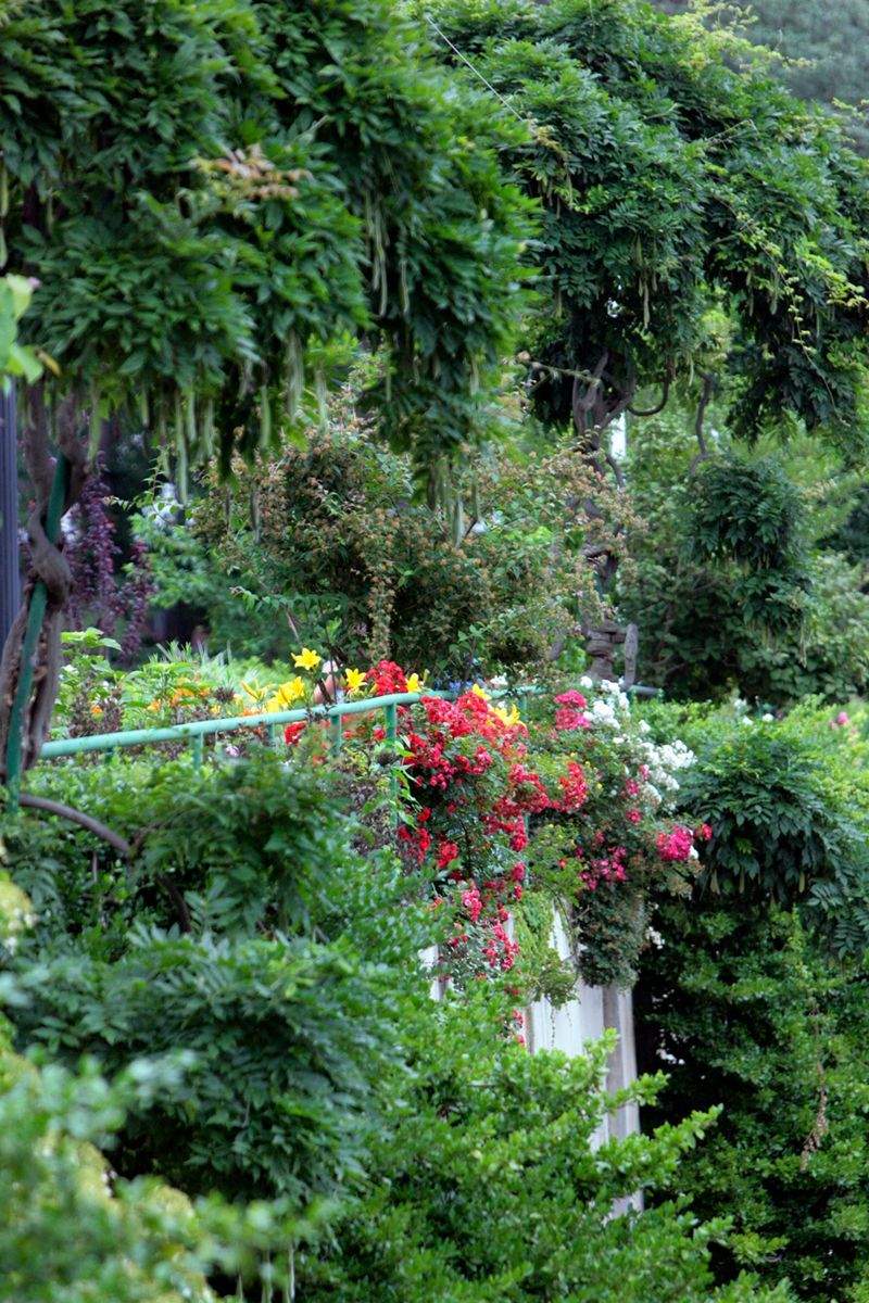 Come Creare un Giardino Fiorito in Inverno