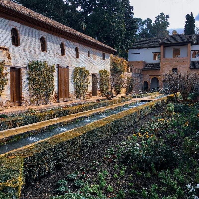 Le Migliori Piante da Interno per il Tuo Ufficio
