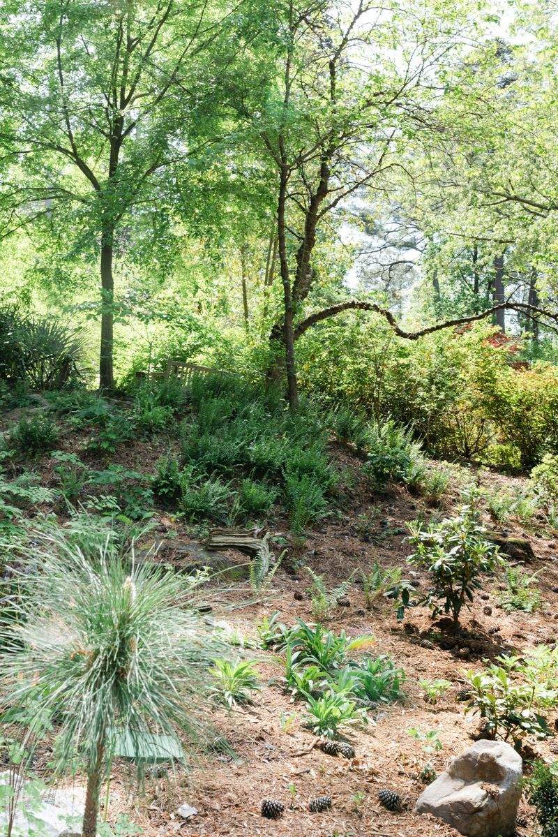 Giardini Fioriti Srl - Image 12