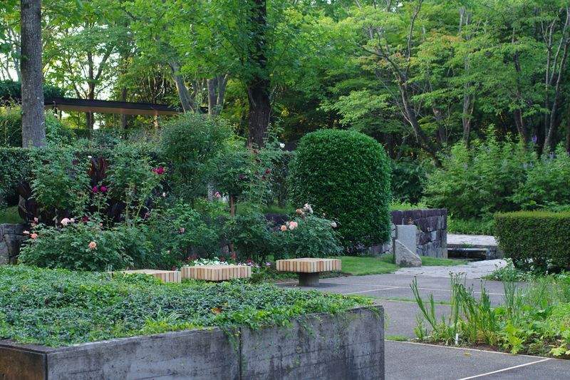 Giardini Fioriti Srl - Image 2