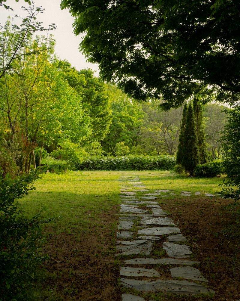 Giardini Fioriti Srl